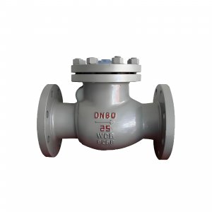 DN50 PN25 介質(zhì)：甲胺，溫度：80℃止回閥