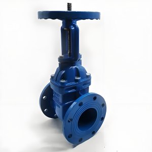 手動(dòng)閘閥Z41T-16 DN50/DN65廠家直銷，上海發(fā)